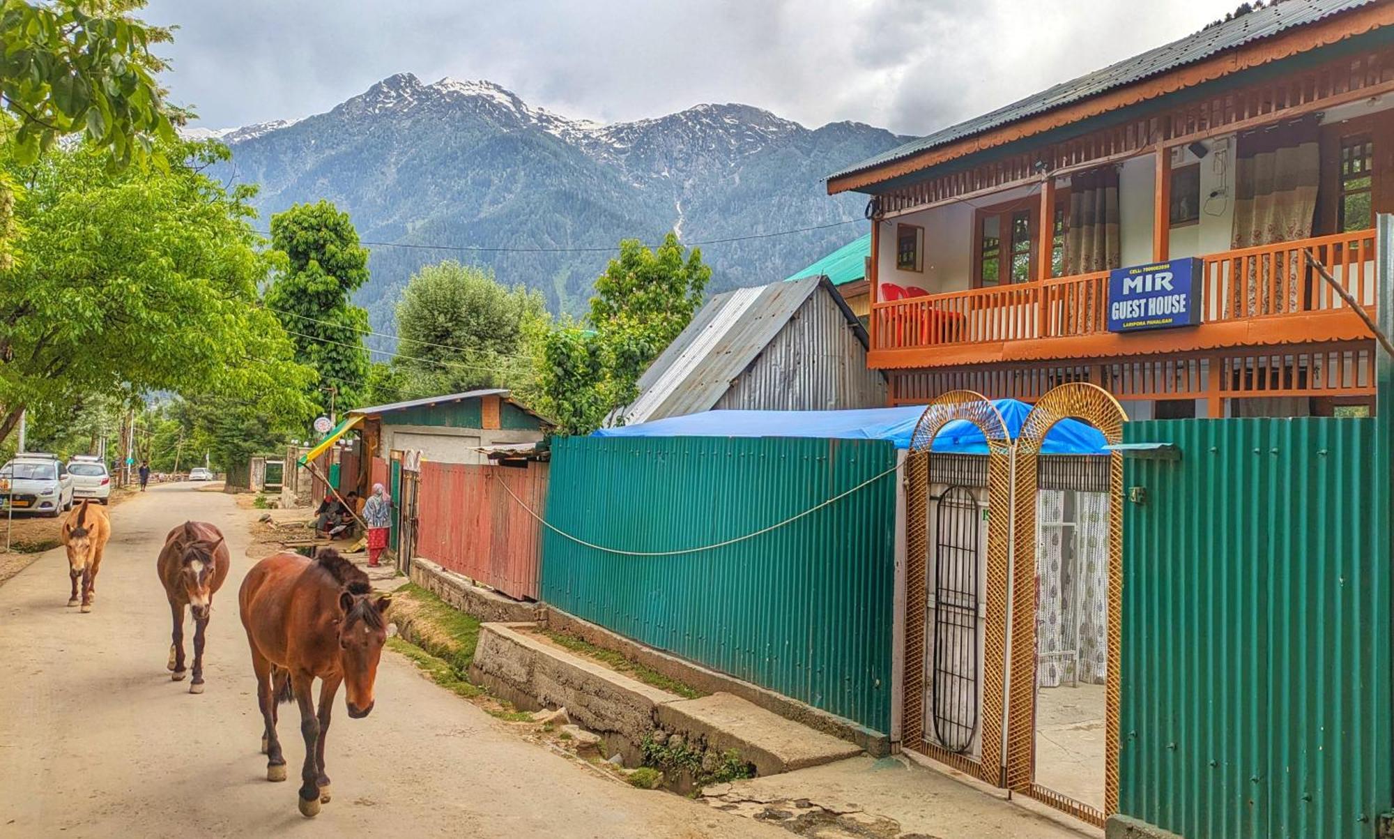 12 Guest Houses in North India That Are Worth Booking